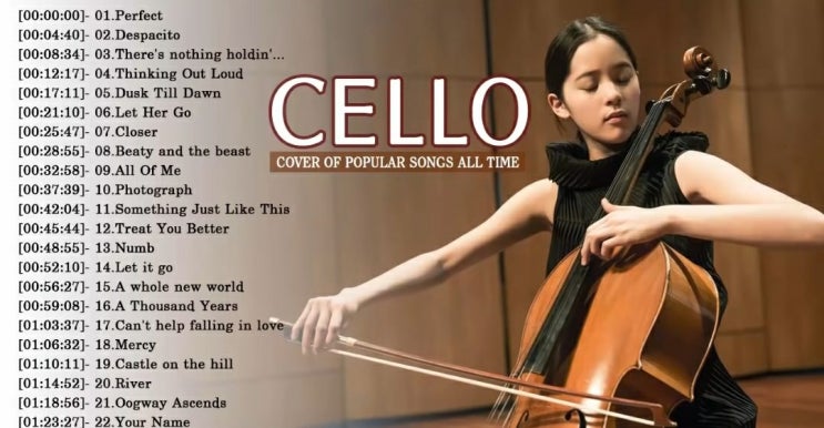  소름돋거나 마음이 따뜻해지는 첼로(cello) 연주 3개