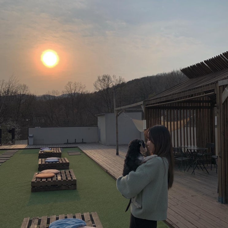  강화 애견카페 흐노니, 행복했던 순간들 ෆ⃛
