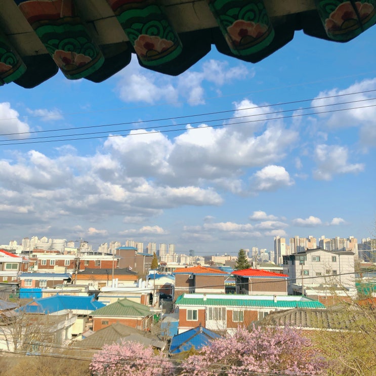  맑은날 만보 걷기와 수원 이영철 생오리 냠