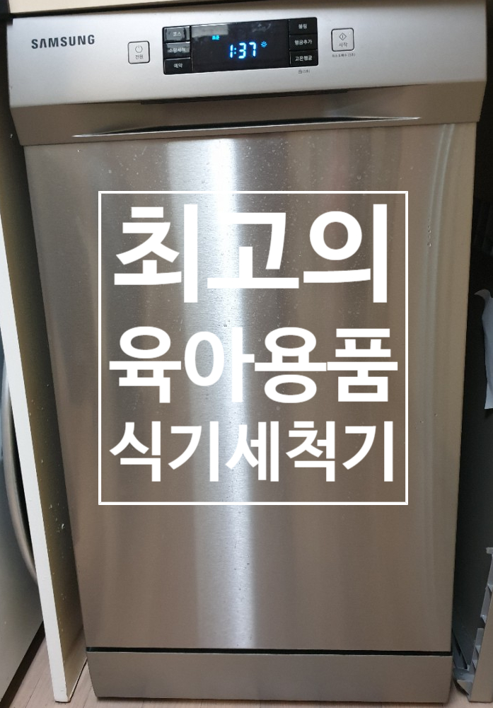  육아 필수템 / 8인용 식기세척기 구매 후 6개월 사용 후기 / DW50R4055FS