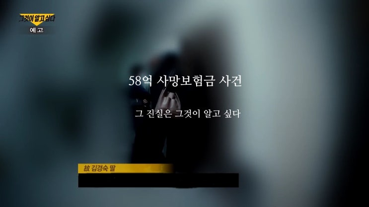 쑥떡 사망사건 58억의 진실은 그것이 알고싶다 쑥떡 사망사건 58억의 진실은 그것이 알고싶다