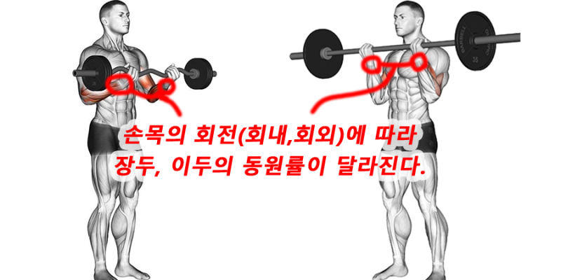 해머 이미지