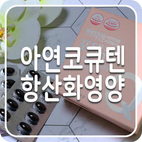 항산화영양제, 코큐텐 아연 영양제 쁘띠앤포텐큐로 계획임신준비 끝