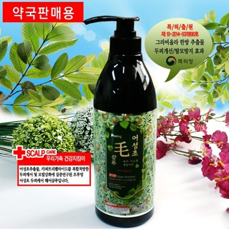 프루밍 어성초 두피케어 샴푸 750ml 특허출원 약국판매용 비듬샴푸 탈모샴푸, 1개 추천해요 프루밍 어성초 두피케어 샴푸 750ml 특허출원 약국판매용 비듬샴푸 탈모샴푸, 1개 추천해요