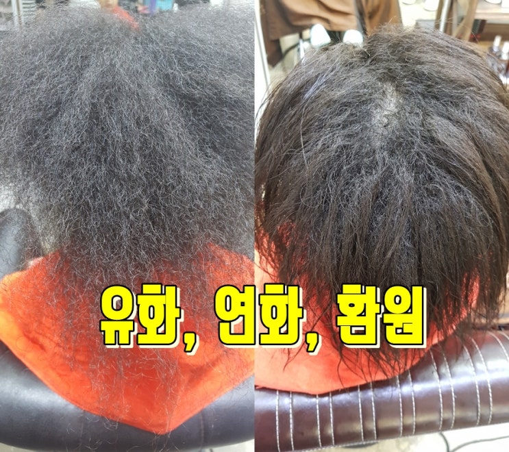  [미용이론] 파마, 매직 할때 유화·연화·환원 방법, 뜻