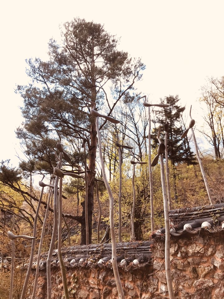 [7년차부부 주말일상] 서울근교 봄향기 가득한 곤지암 화담숲