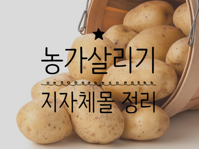 코로나 농가돕기 지자체몰 정리, 먹어서 응원하자! 코로나 농가돕기 지자체몰 정리, 먹어서 응원하자!