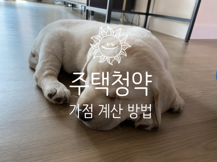  주택청약 점수 확인 방법 (feat.20점)