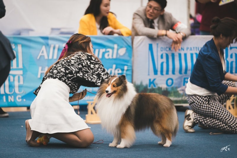 샵블루오션