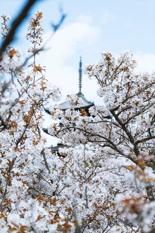 해외선물수수료 내게 맞는 업체 찾기 1