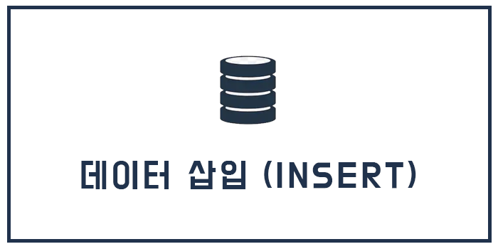 데이터 삽입 (INSERT)