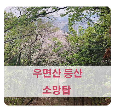  [우면산 등산] 소망탑 찍고 오니 2시간 걸렸어요