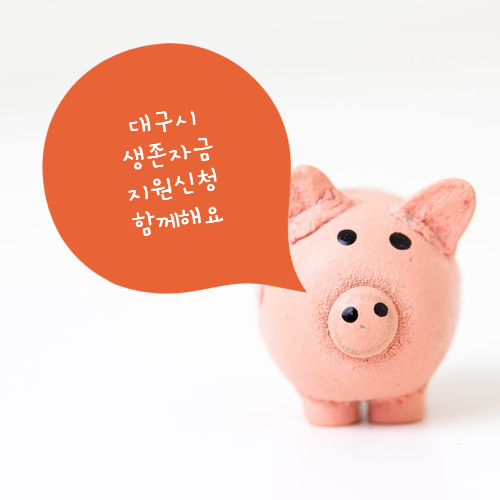  대구 소상공인 생존자금 지원 신청 완료