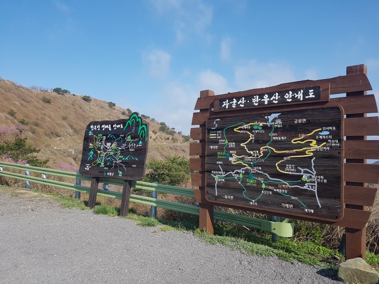  한우산 꽃소식^^밤 별 만큼 이뻐요.