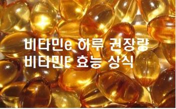  비타민e 하루 권장량 비타민E 효능 상식
