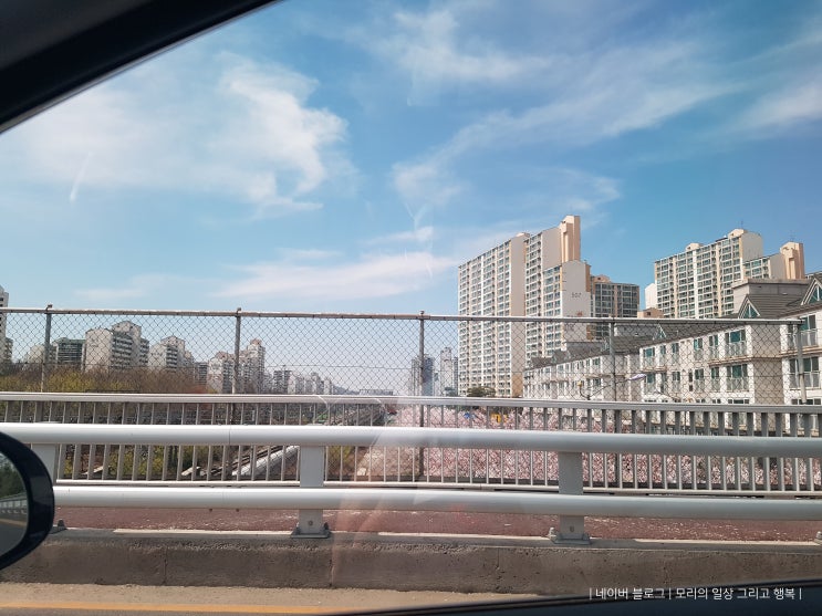 4월 첫째 주 일상글 : 애니골 벚꽃구경 & 4.15 선거 & 은평한옥마을 4월 첫째 주 일상글 : 애니골 벚꽃구경 & 4.15 선거 & 은평한옥마을