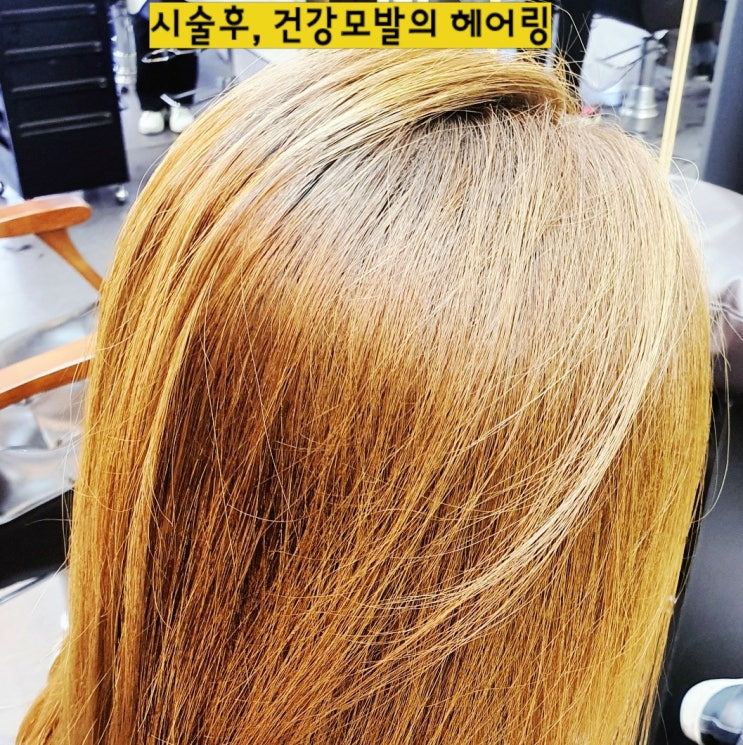  서구청미용실 클리닉 헤어링 로이드밤 인천서구청점