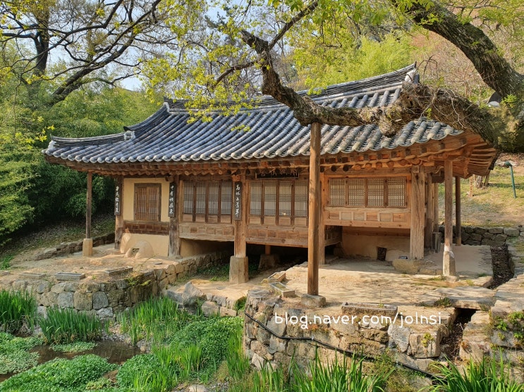 우암사적공원,남간정사, 블태기(?!), 태조산벚꽃, 멜킨 요가링, 마사지볼, 노원역 맛집 위안바오