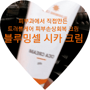  피부과 가는 대신 써보는 트러블케어에 좋은 블루밍셀 시카크림