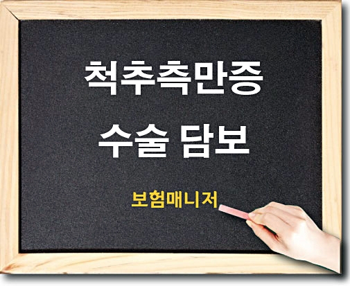  현대해상 태아보험 척추측만증수술 담보 알아보기