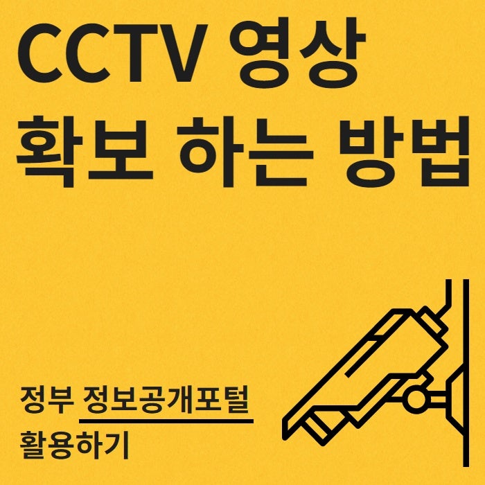 임수언 교통사고 무단횡단 보행자 사망사고 CCTV 공개 약식기소의 의미는?