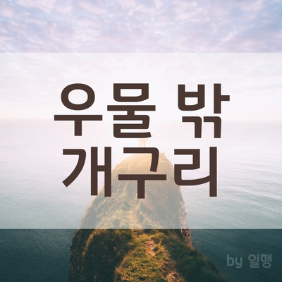  우물 밖 개구리 / #19_2020.04.19 미라클모닝과 함께하는 감사일기 / 긍정확언