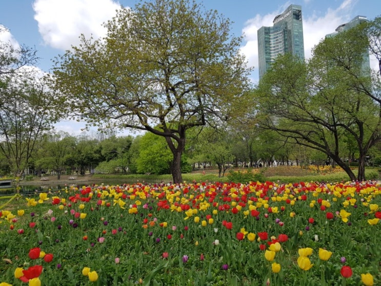  서울 성동구 산책 나들이: 서울숲