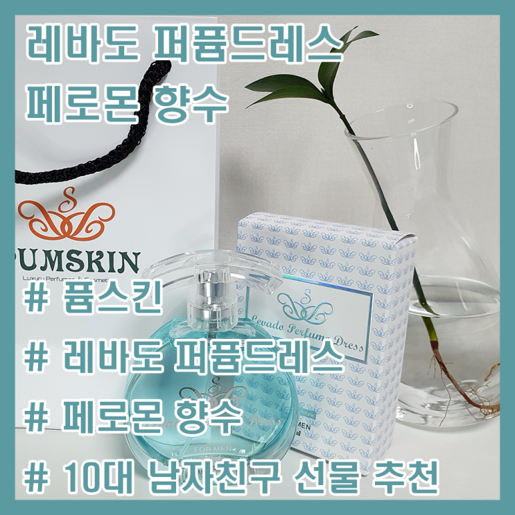  레바도 퍼퓸드레스 남성페로몬 향수 솔직 리뷰! / 10대 남자친구 선물 추천 / 학생 향수 추천 / 남자 향수 추천