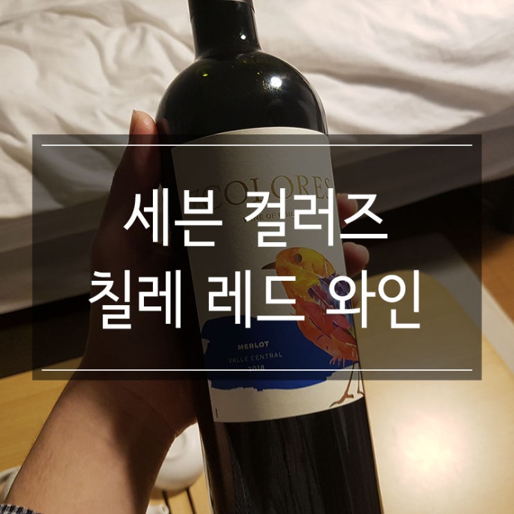 칠레 레드 와인 추천 7컬러즈 멜롯 7Colors Merlot