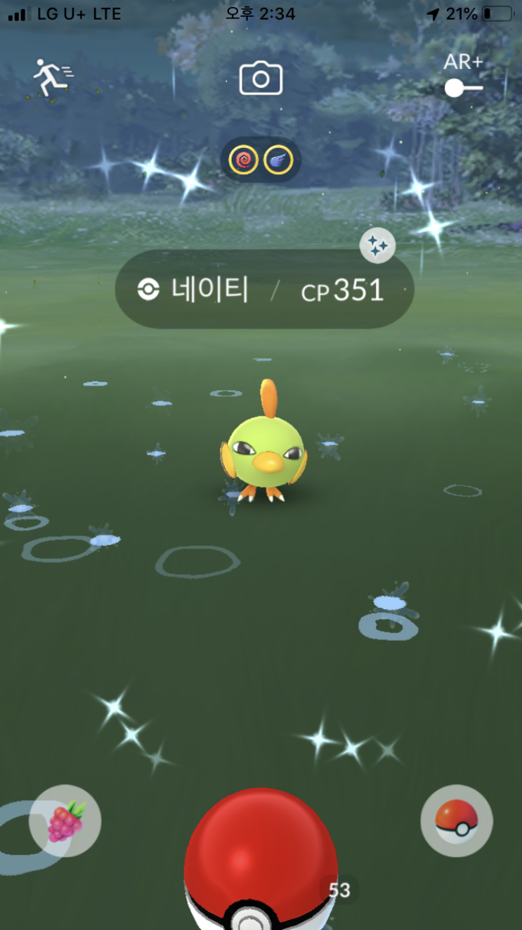  네이티 이로치