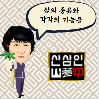  최고로 치는 산삼은 무엇이며 종류는?