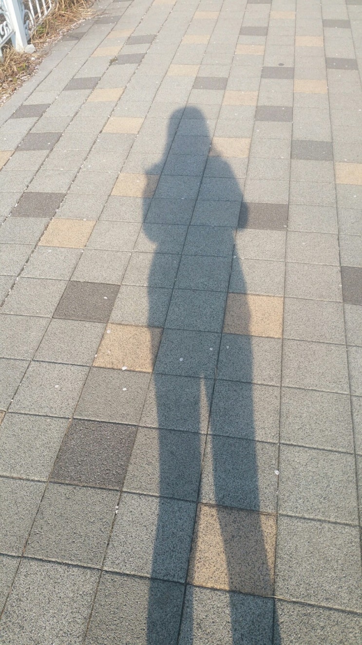  코로나로 바뀐 나의 아침 운동은 뒷동산에서!!!