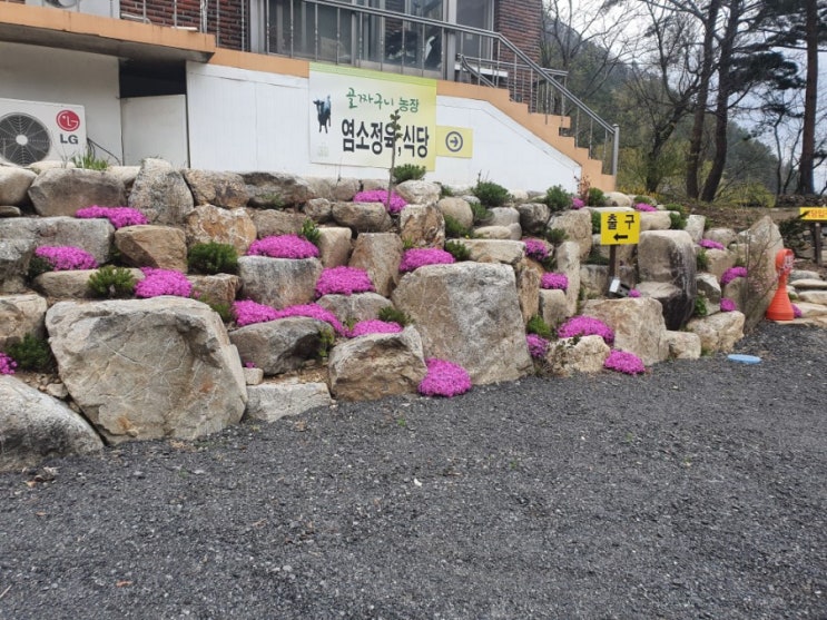 꽃밭 가꾸기