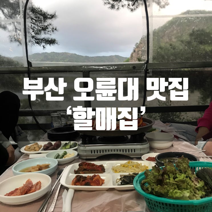  부산 오륜대 분위기 짱좋은 오리고기 맛집!! 할매집