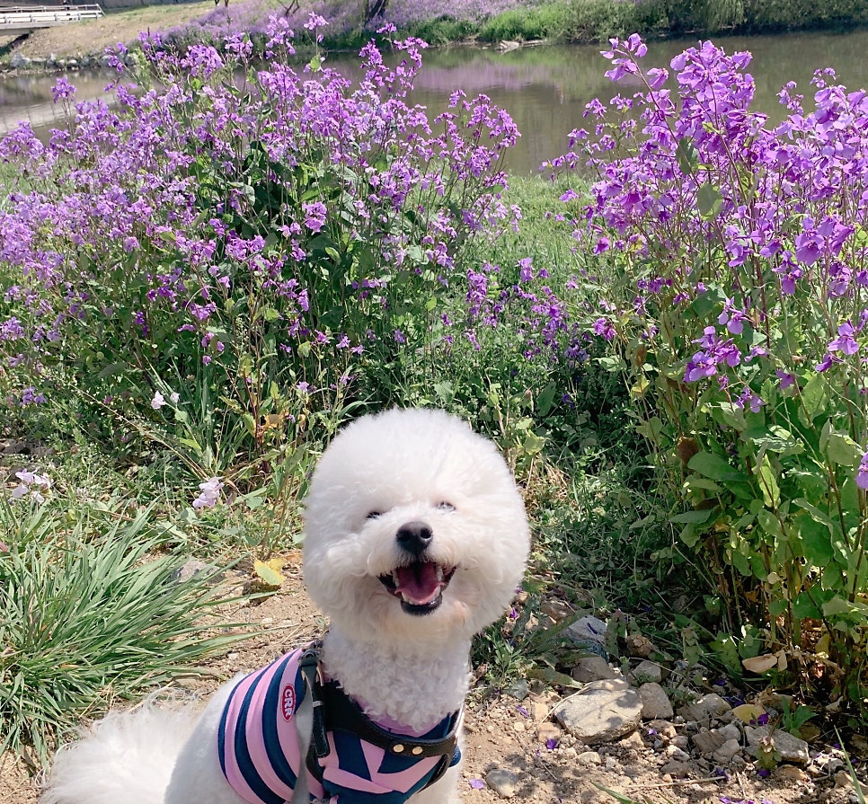 지지고 안양대점 사진 1