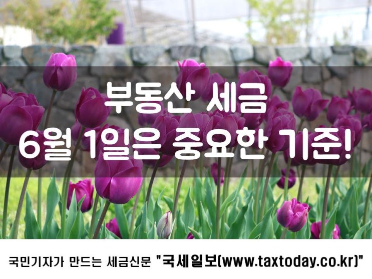 부동산 세금, 6월 1일은 중요한 기준!