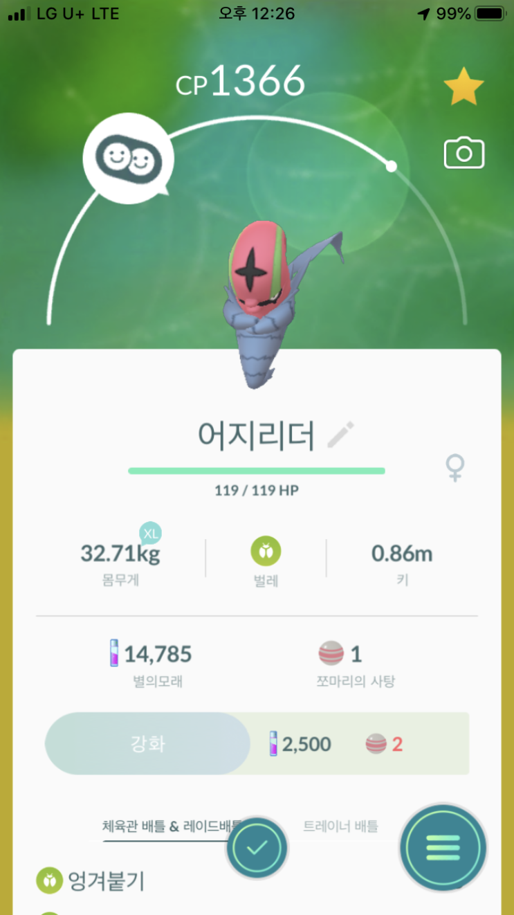  쪼마리 진화 “어지리더”