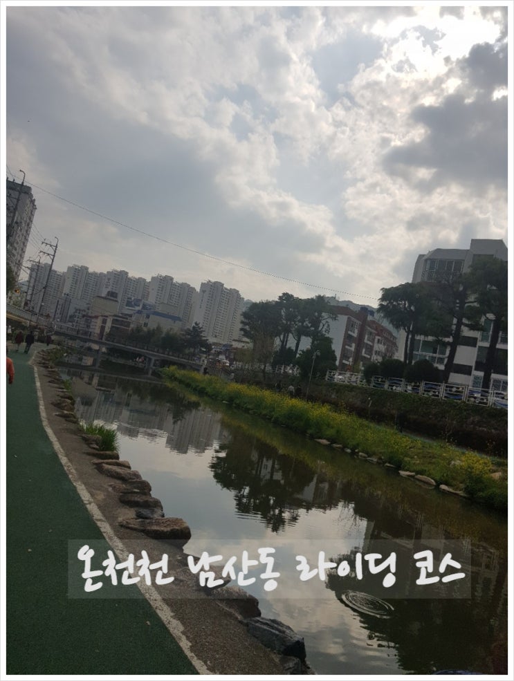 온천천 힐링 라이딩 코스 서면-남산동 (feat 강아지)