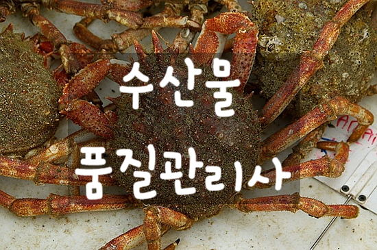  국가공인자격증 수산물품질관리사 시험 자료