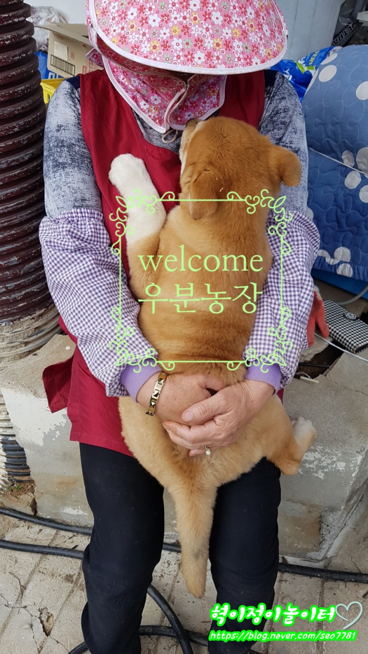 일상이야기 welcome 우분농장