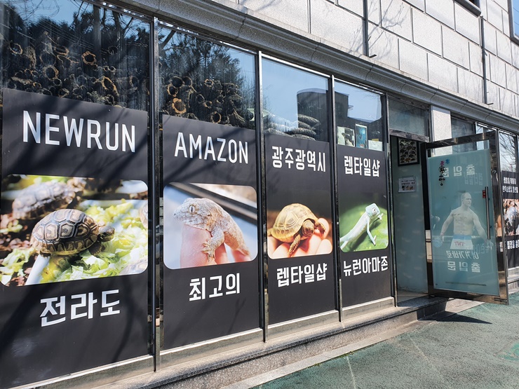  [아빠 일상] 광주 희귀동물 펫샵 방문기[2탄], 화정동 뉴런 아마존