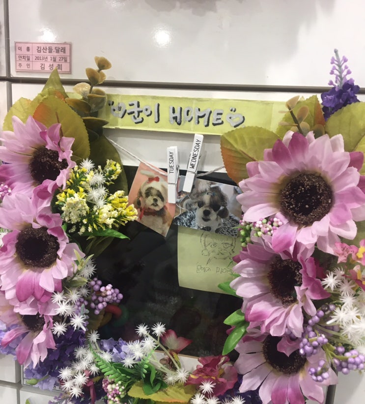  반려견장례에 대한 중요한 선택요소