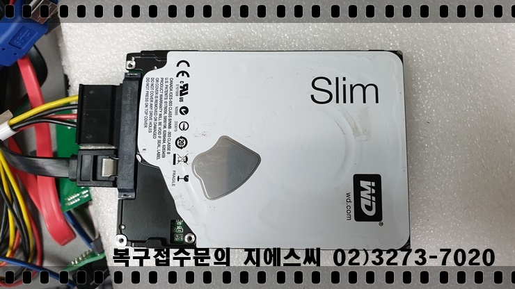  wD10SPCX-24HWST1 과 디오테라 비바 300S Pro 전자랜드복구