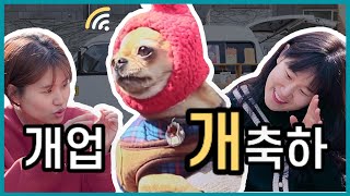 다마스로 이동하는 책방 장수의 에피소드
