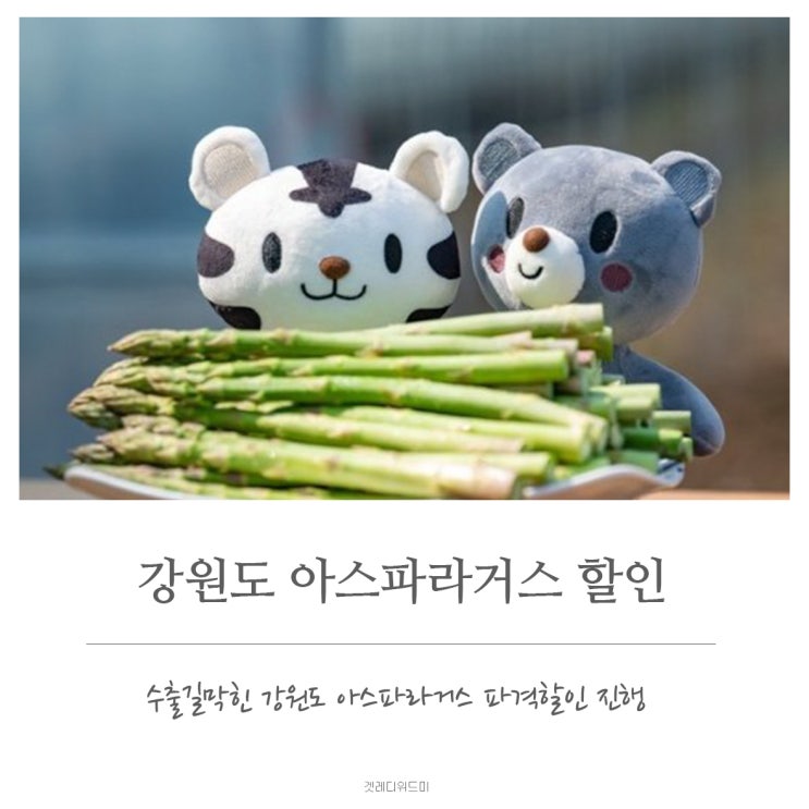  아스파라거스가 검색창에? 강원도 아스파라거스 파격세일 시작