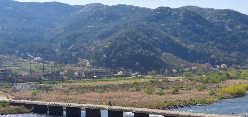 섬진강 +지리산 : 네이버 블로그