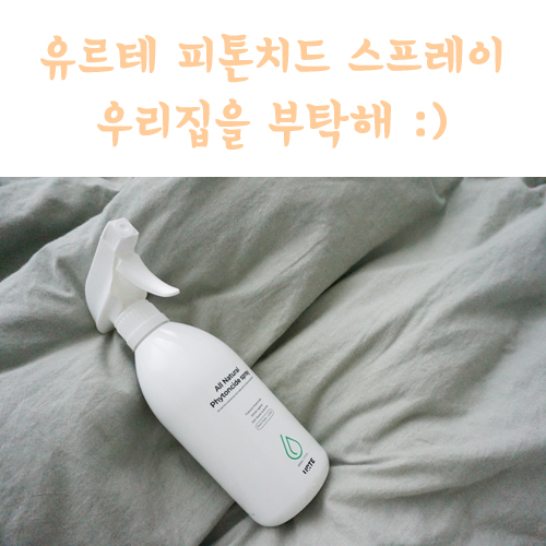  뿌리는소독제 유르테 피톤치드 스프레이로 우리 집안 향균력를 높여주어요