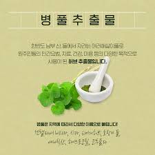  화장품성분 병풀 시카 분석 - 피부노화 여드름피부 상처치유 병풀추출물 주의사항
