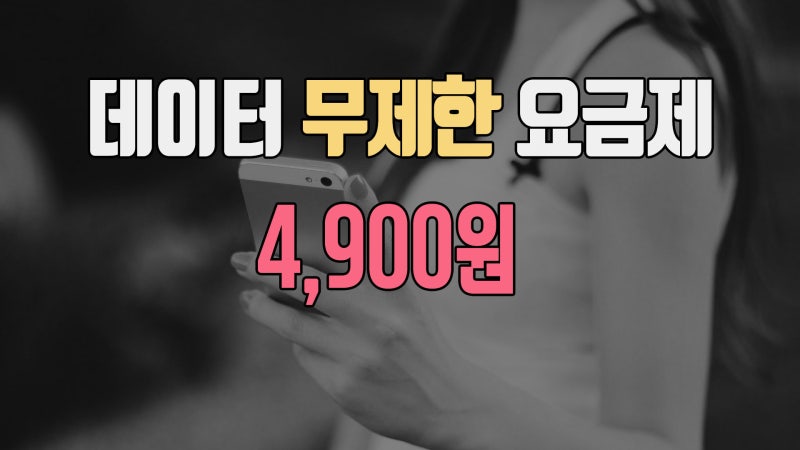 알뜰폰 데이터 무제한 요금제인 스마텔 스마트톡 가입, 고고모바일에서 최저가 개통하기 : 네이버 블로그 알뜰폰 데이터 무제한 요금제인 스마텔 스마트톡 가입, 고고모바일에서 최저가 개통하기 : 네이버 블로그