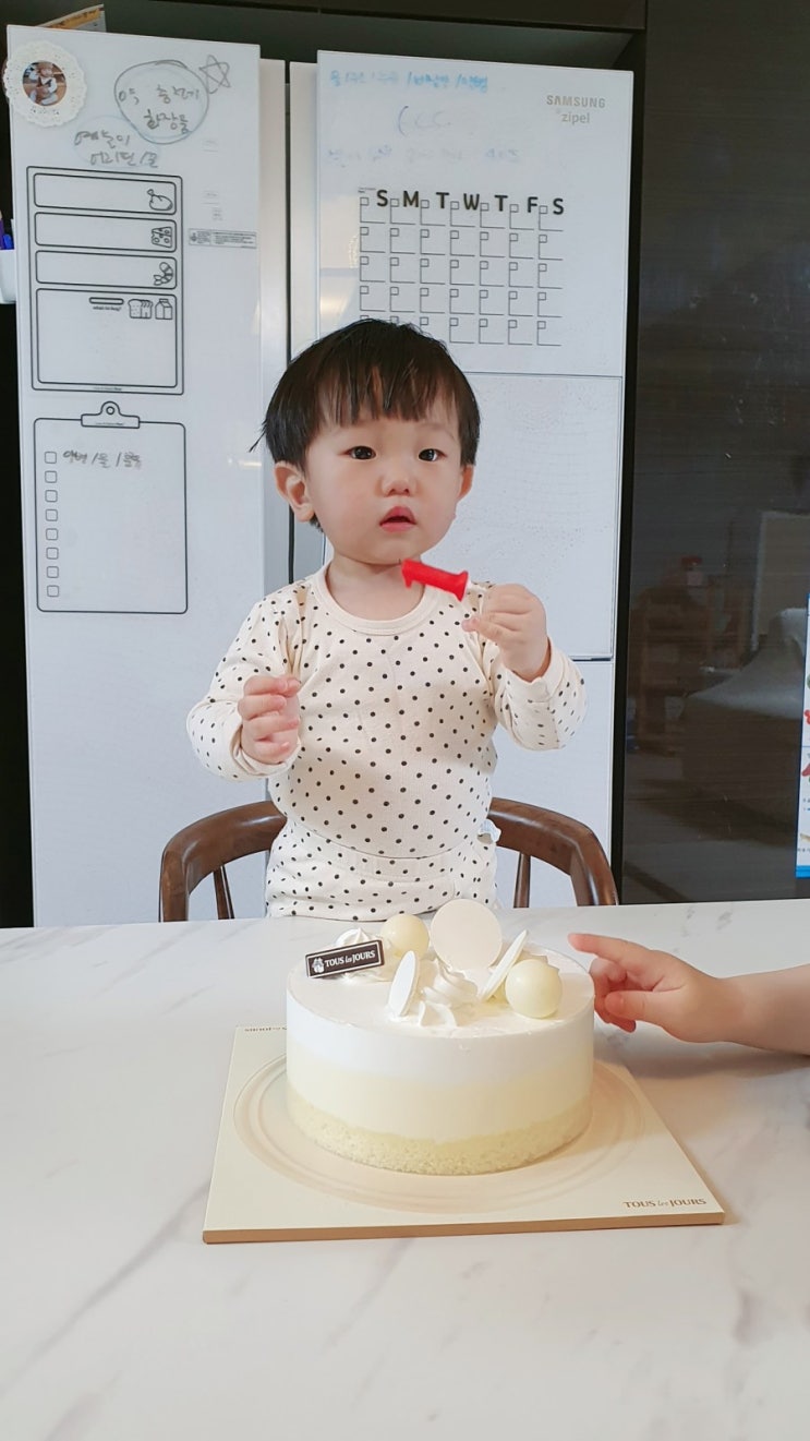  18개월 남자 저신장 아기, 둘째의 성장발달 기록